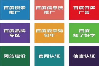 实战派心得：百度竞价代理案例解读与优化技巧